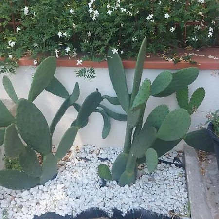 Mondello House Palermo